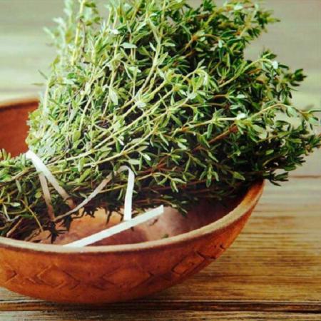 شناخت کامل آویشن سبز کوهی