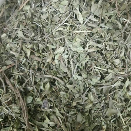 فروش آویشن لیمویی بسته بندی