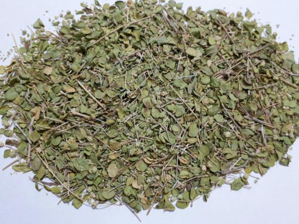 فروش آویشن پهن کوهی