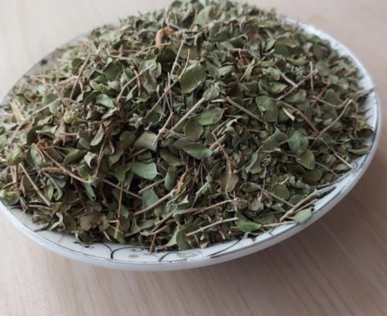 پخش کننده آویشن گیاهی اصل