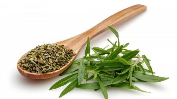 مزایای آویشن پشمی خشک شده