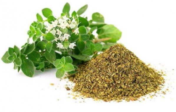 قیمت آویشن پودر شده خالص