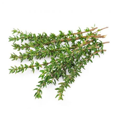 روش های کاشت آویشن کوهی باریک