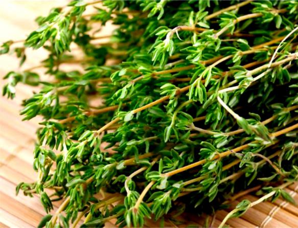 ویژگی های آویشن لیمویی تازه