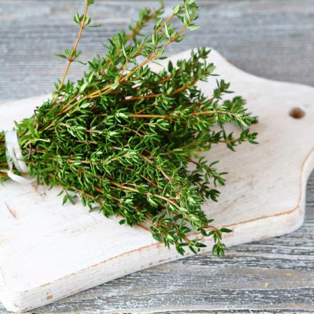 صادرات آویشن طبیعی عمده