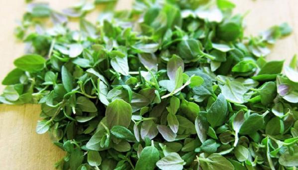 خواص اصلی آویشن باغی