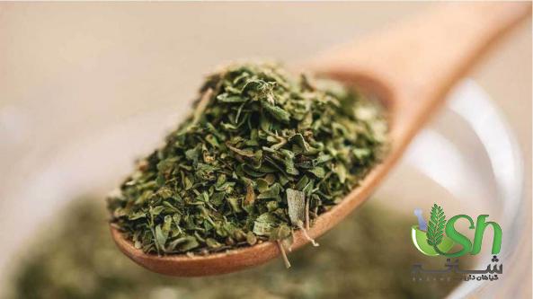 پخش آویشن خشک شده از تولید کننده