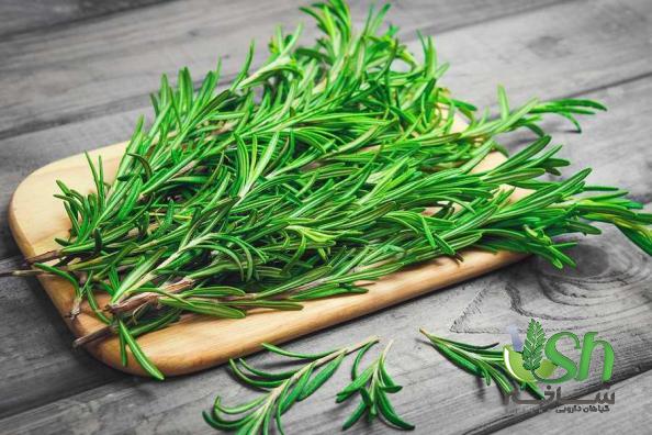تفاوت قیمت گیاه رزماری در شهر های مختلف برای چیست؟