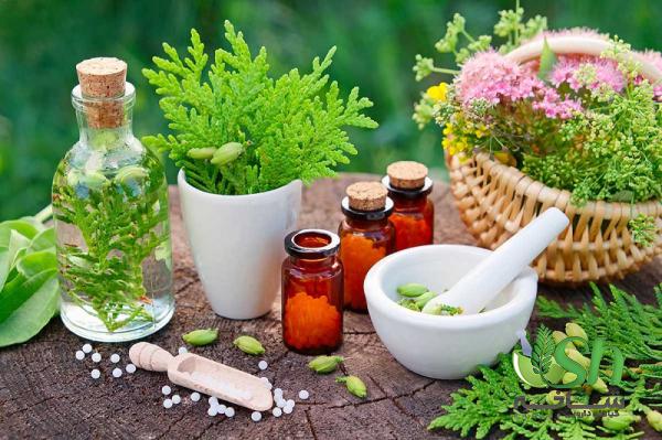 عواملی که بر کیفیت گیاهان دارویی ارگانیک تاثیر دارد