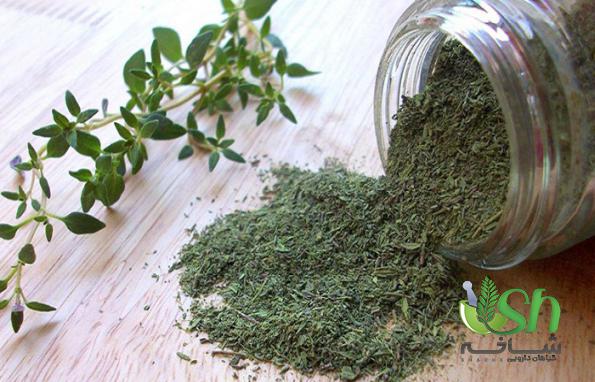 آویشن خشک درجه یک چه ویژگی هایی دارد