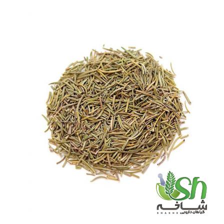 خرید عمده رزماری با قیمتی ارزان