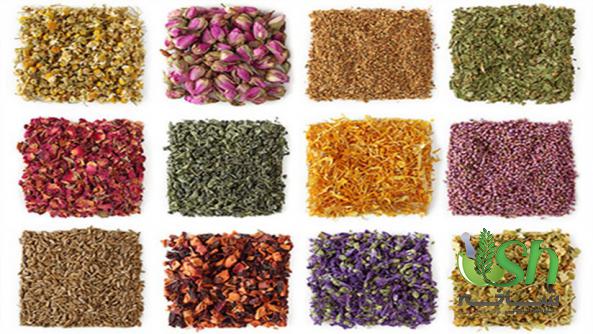 کدام کشورها برای صادرات گیاهان دارویی گزینه مناسبی هستند؟