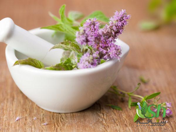 توزیع بدون واسطه گیاهان دارویی کوهی در اراک