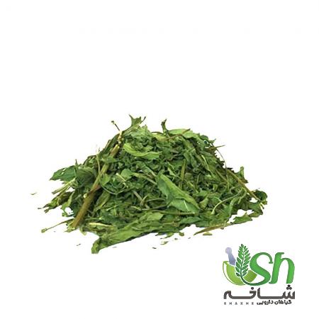 عواملی که بر قیمت نعنا خشک درجه یک تاثیر دارد 