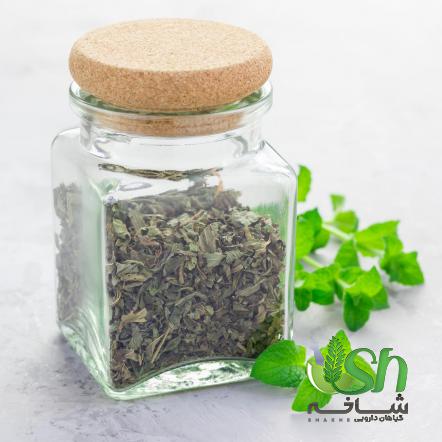نکات مهم در خرید نعناع خشک با کیفیت