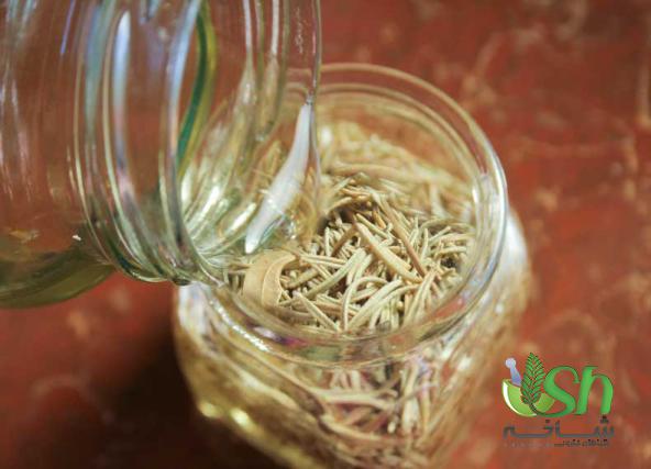 مراکز صادرات رزماری تازه در تهران با کمترین هزینه