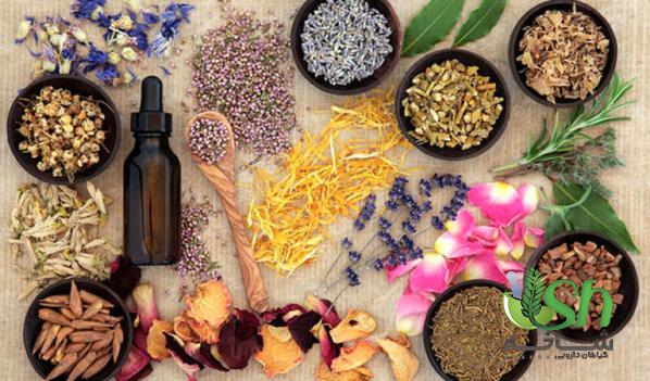 راهنمای جامع خرید گیاه دارویی