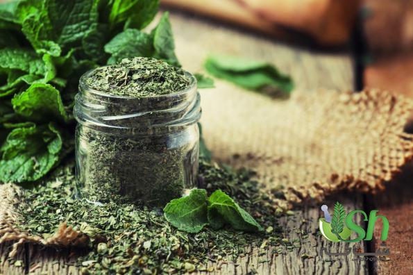 بزرگترین عرضه کننده نعناع خشک فله ای با بهترین کیفیت