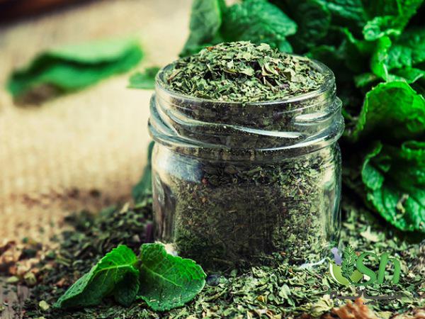 فروش تضمینی نعناع خشک شده اعلا به صورت اینترنتی