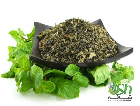  بهترین نوع نعناع فلفلی خشک را بشناسید