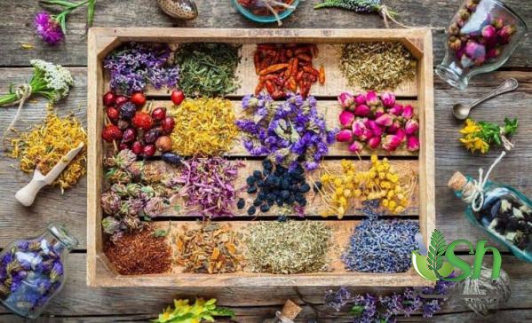 معتبرترین مراکز پخش گیاهان دارویی در سرعین اردبیل