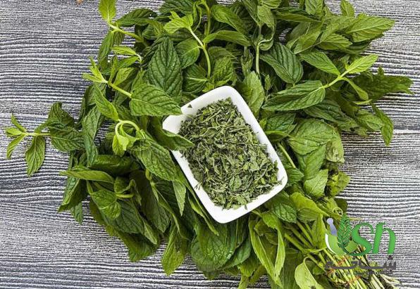 تعیین قیمت نعناع فلفلی خشک به چه عواملی بستگی دارد