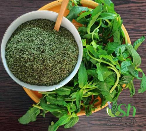 پخش بی واسطه نعناع فلفلی خشک درجه یک در کشور