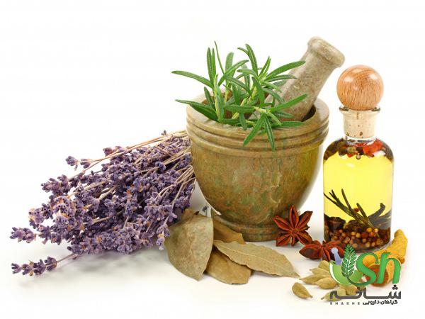 تضمین کیفیت بهترین گیاه دارویی در بازار