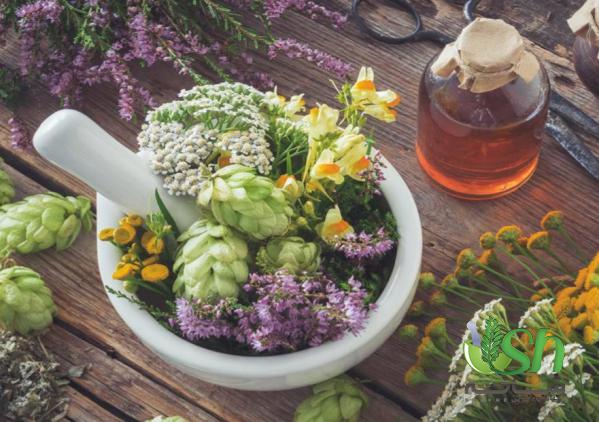 سفارش انواع گیاهان دارویی از فروشندگان معتبر کردستان