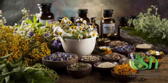 پخش بی واسطه گیاهان دارویی مرغوب در بازار اردبیل