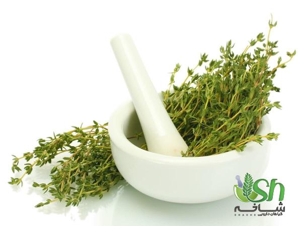 با انواع گیاهان دارویی معطر آشنا شویم