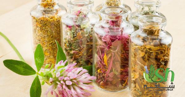 آشنایی با بهترین گیاهان دارویی ایرانی