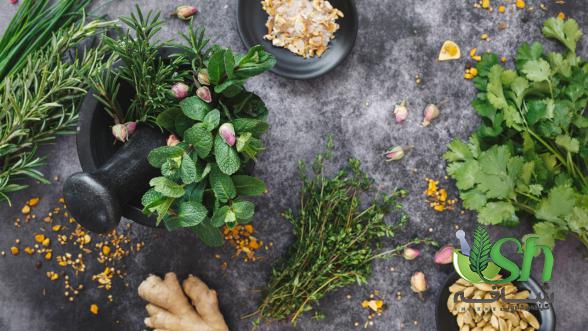 جایگاه ایران در صادرات انواع گیاهان دارویی