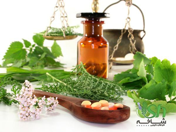خرید بهترین گیاه دارویی گلخانه ای در فروشگاه های معتبر