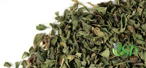 بررسی روش های تولید نعناع خشک در ایران