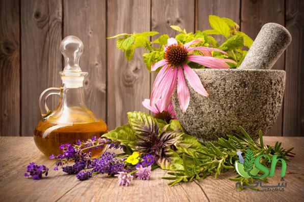 لیست قیمت انواع گیاهان دارویی در سال جدید