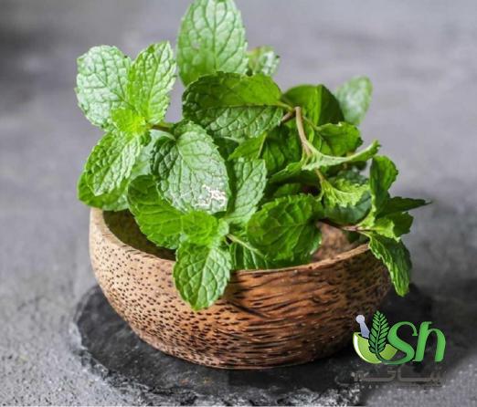 مشخصه های اصلی نعناع درجه یک 