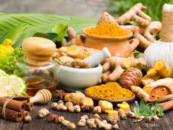 بازار توزیع گیاهان دارویی مرغوب در تهران