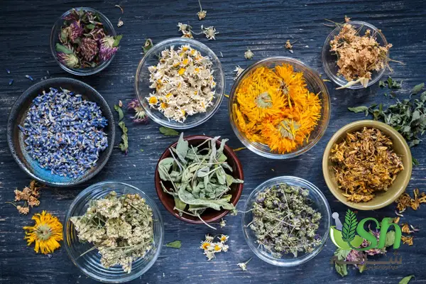 سفارش خرید گیاهان دارویی با کیفیت عالی در اردبیل