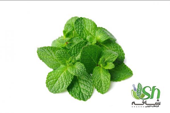 چند نکته درباره خرید نعناع فلفلی فله ای