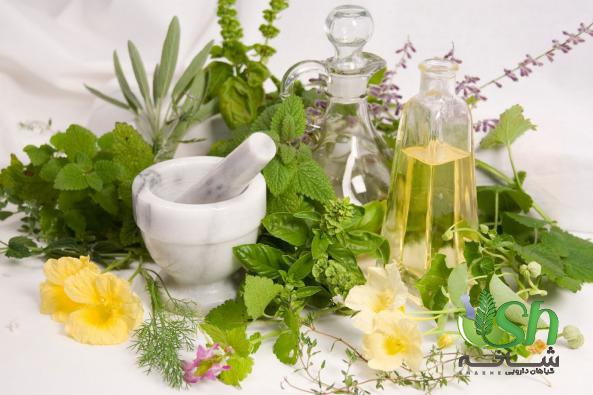 عرضه گیاهان دارویی با نازل ترین قیمت در اردبیل