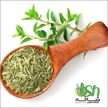 بهره گیری از تمام ظرفیت های صادرات آویشن درجه یک