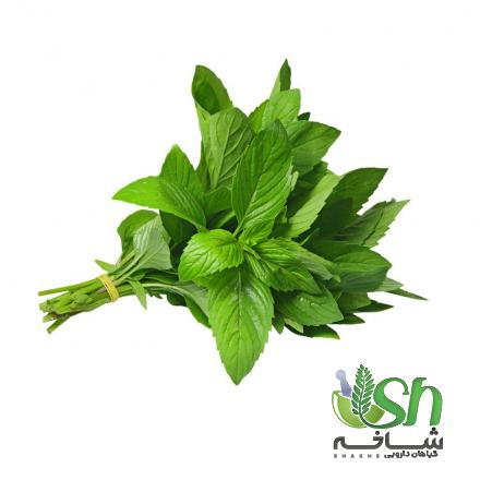 سفارش اینترنتی نعناع تازه از فروشندگان مطمئن