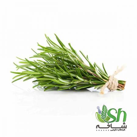 صفر تا صد صادرات رزماری از ایران