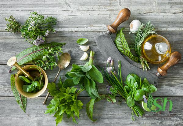 پخش ارزان گیاهان دارویی تازه به صورت عمده