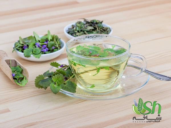 قیمت انواع گیاهان دارویی درجه یک در مشهد