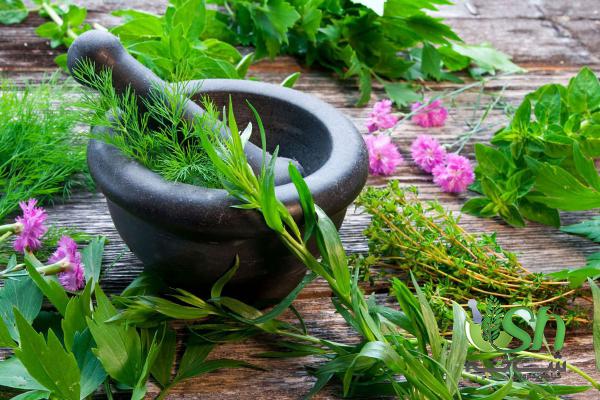 نکات کلیدی در تهیه گیاهان دارویی کوهی