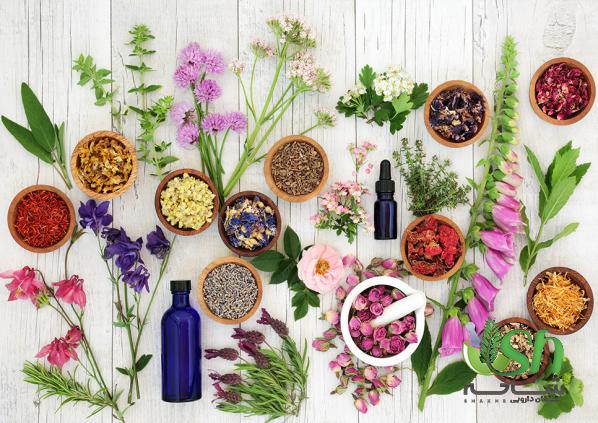 قیمت عمده انواع گیاهان دارویی در گیلان