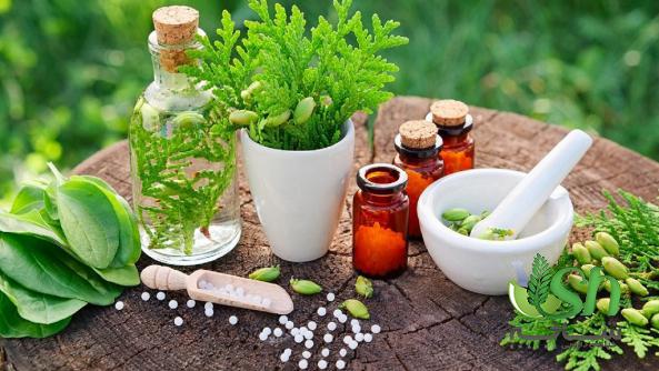 آنچه باید در مورد گیاهان دارویی ارگانیک بدانیم