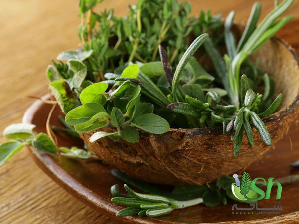 نکاتی در خصوص خصوصیات آویشن کوهی